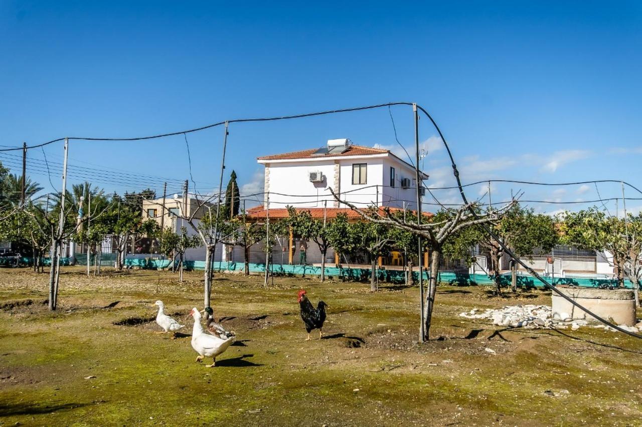 Reel Paradise Villa, Cyprus Lárnaka Kültér fotó